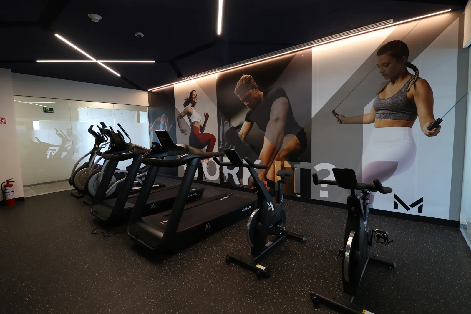 Gym — Mural